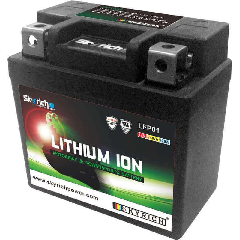 SKYRICH BATTERIE LTKTM04L - LITHIUM