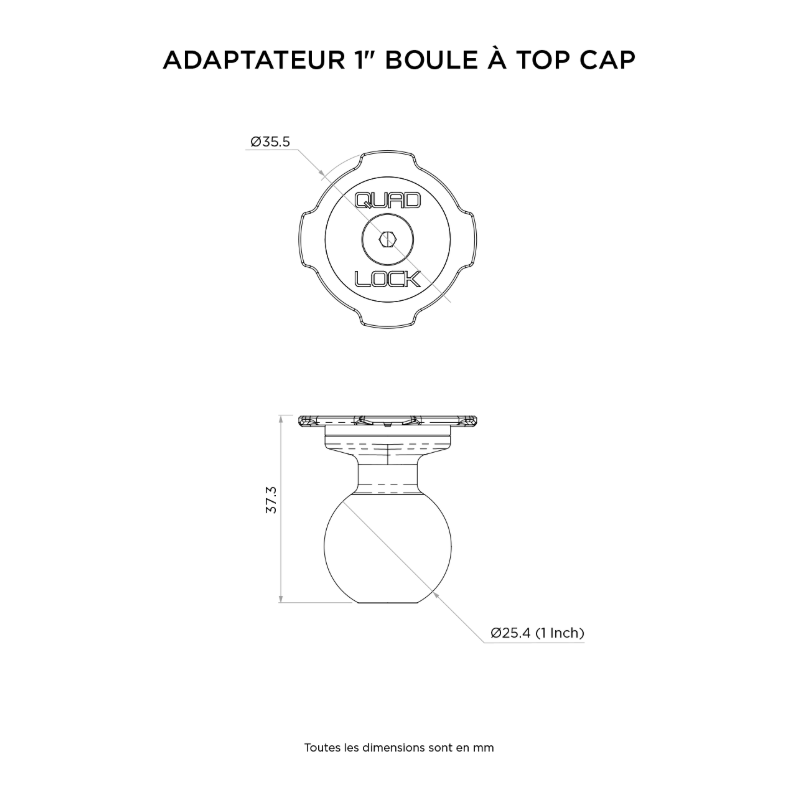 QUADLOCK ADAPTEUR 1" BOULE A TOP CAP