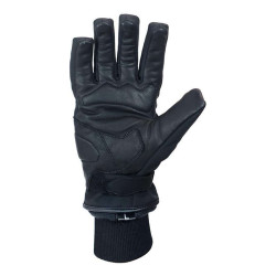 HARISSON GANTS BERGEN