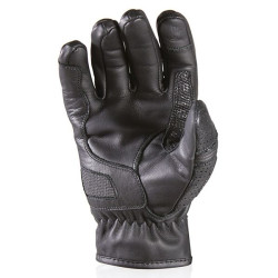 HARISSON GANTS SUNSET EVO