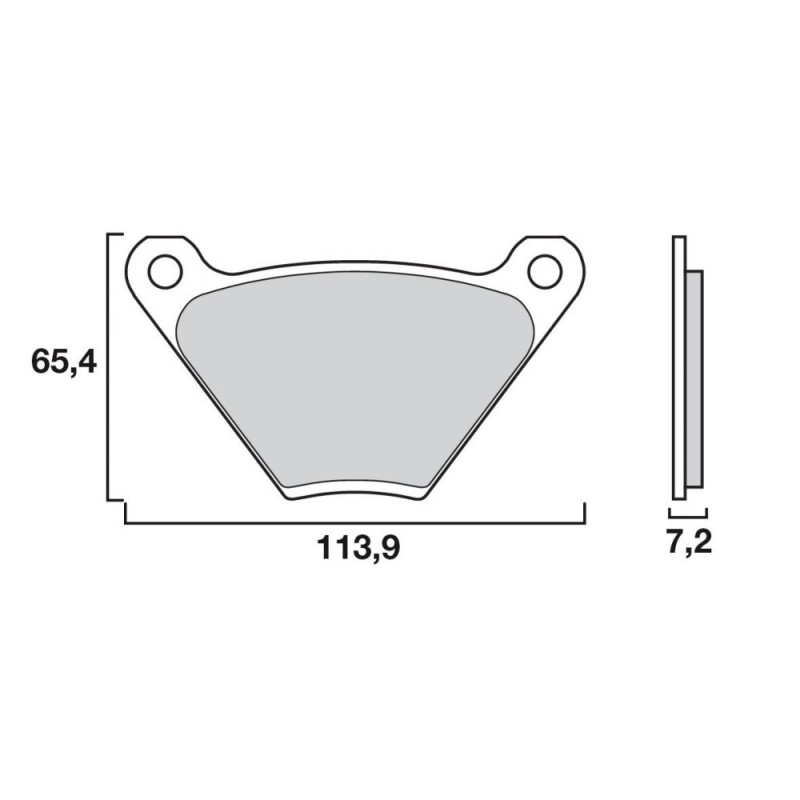 BREMBO PLAQUETTE AVT BMW M1000RR/S1000 RR 21-