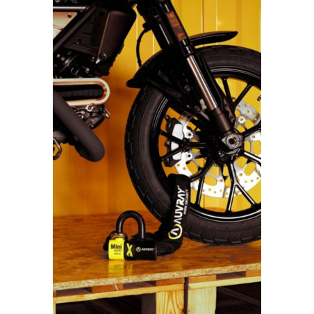 AUVRAY LASSO + CADENAS ALARME 100+BD CLASSE SRA
