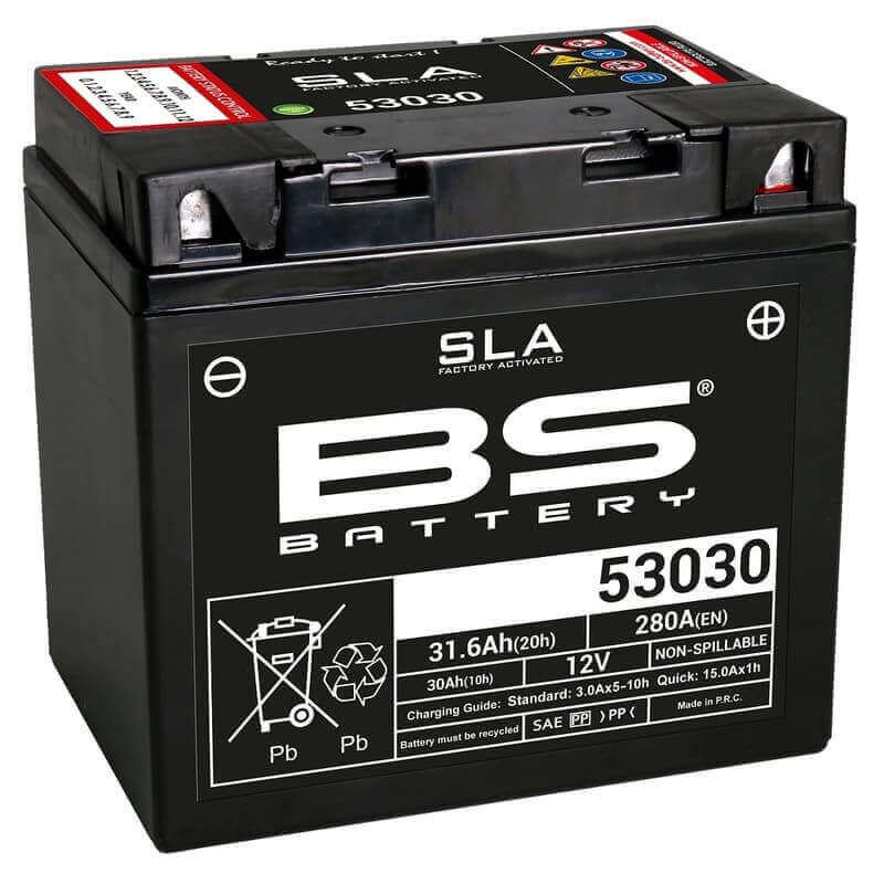 BS BATTERY BATTERIE 53030 - AVEC PACK ACIDE (INCLUS)