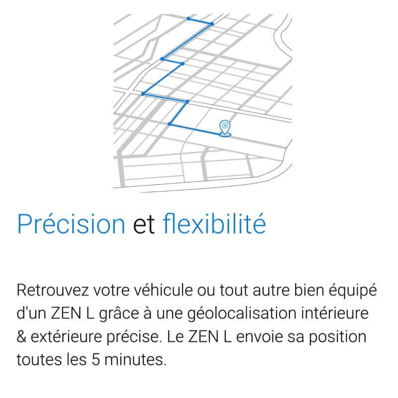 BEEPINGS BALISE GPS ZEN L