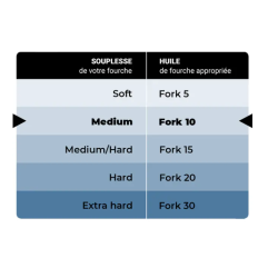 IPONE HUILE DE FOURCHE FORK 10