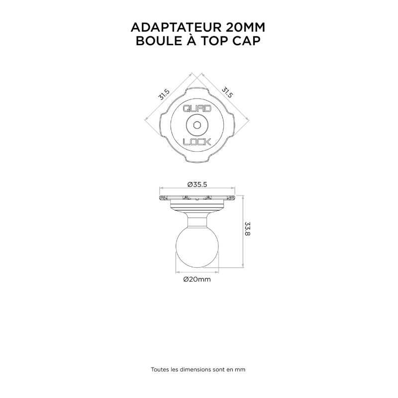 QUADLOCK ADAPTEUR BOULE A TOP CAP 20 MM