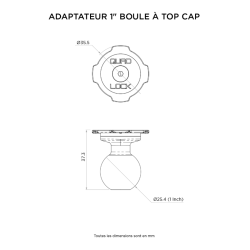 QUADLOCK ADAPTEUR 1" BOULE A TOP CAP